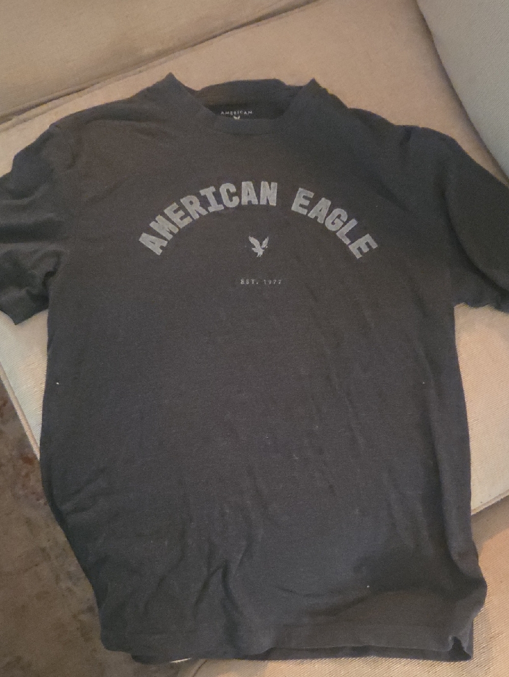 American Eagle Outfitters Black Crew Neck Logo Tee